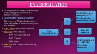 Molecular Basis of Inheritance.pptx