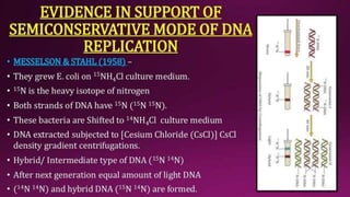 Molecular Basis of Inheritance.pptx