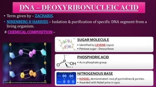Molecular Basis of Inheritance.pptx