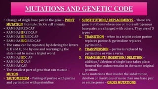 Molecular Basis of Inheritance.pptx