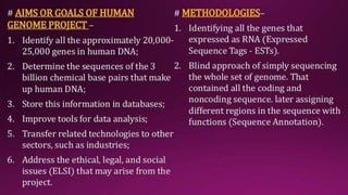 Molecular Basis of Inheritance.pptx