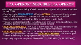 Molecular Basis of Inheritance.pptx