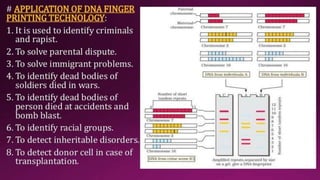 Molecular Basis of Inheritance.pptx