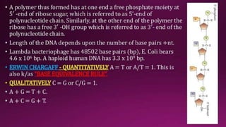 Molecular Basis of Inheritance.pptx
