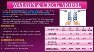 Molecular Basis of Inheritance.pptx