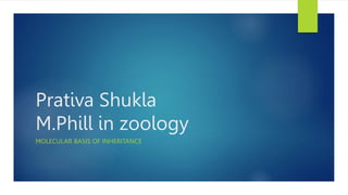 Prativa Shukla
M.Phill in zoology
MOLECULAR BASIS OF INHERITANCE
 