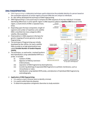 Molecular Basis of Inheritance Class 12th Biology CBSE CHSE | PDF