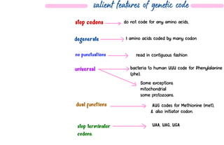 Stop Code Uaa molecular basis of inheritance - supernotes.pdf