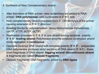 molecularbasisofinheritane-ppt- (1).pptx