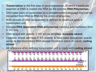molecularbasisofinheritane-ppt- (1).pptx