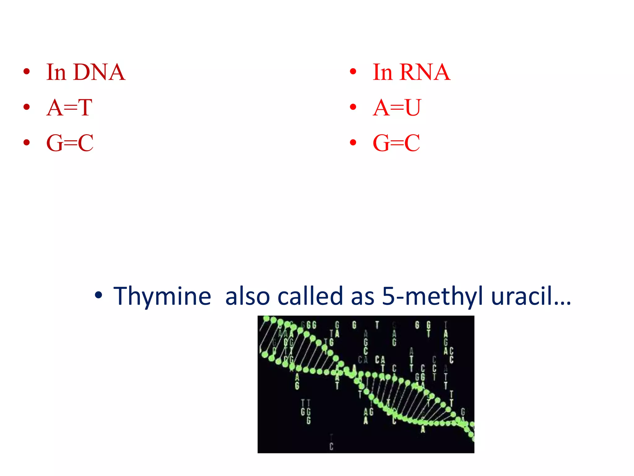 • In DNA
• A=T
• G=C
• In RNA
• A=U
• G=C
• Thymine also called as 5-methyl uracil…
 