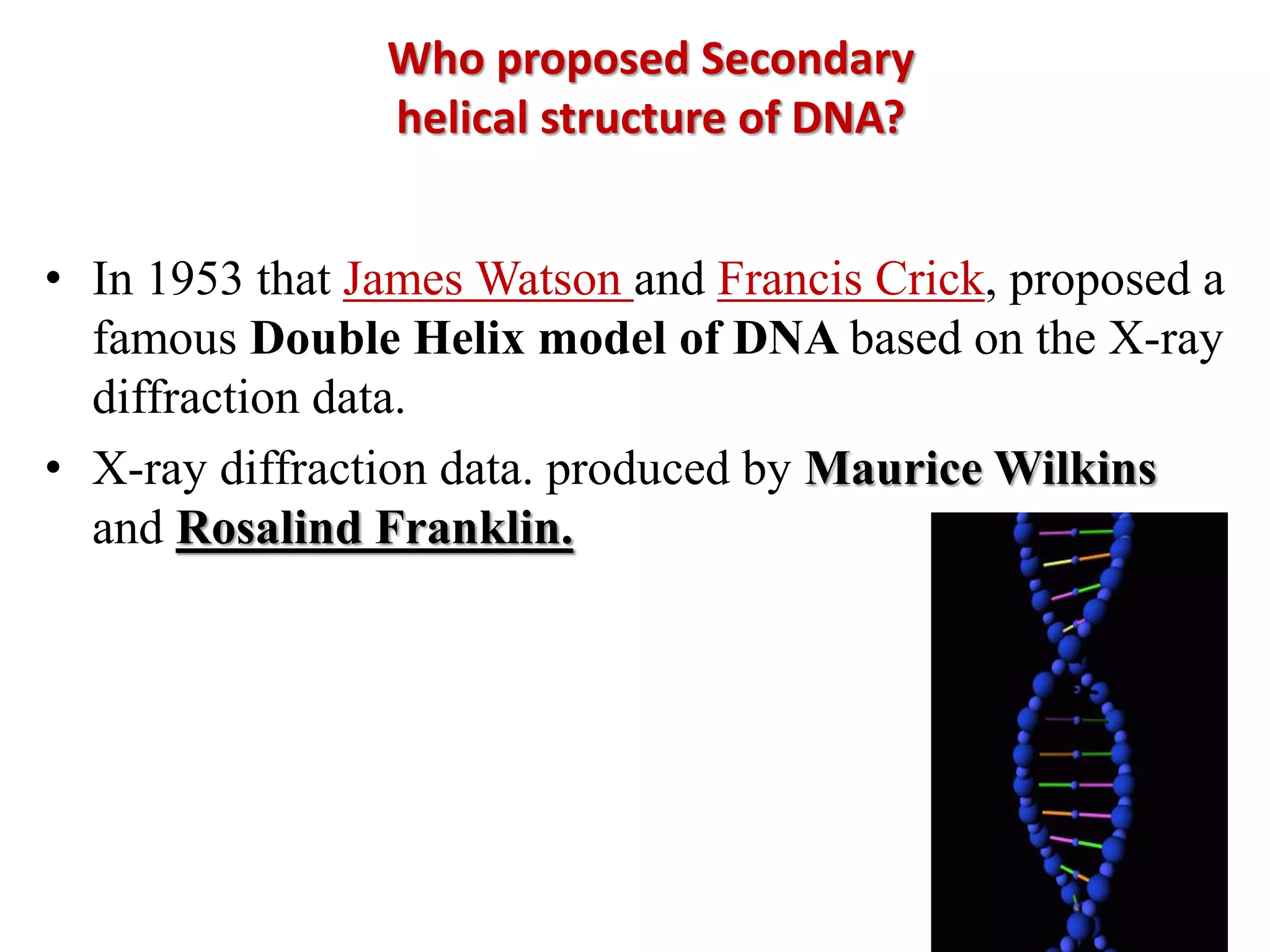 • In 1953 that James Watson and Francis Crick, proposed a
famous Double Helix model of DNA based on the X-ray
diffraction data.
• X-ray diffraction data. produced by Maurice Wilkins
and Rosalind Franklin.
Who proposed Secondary
helical structure of DNA?
 