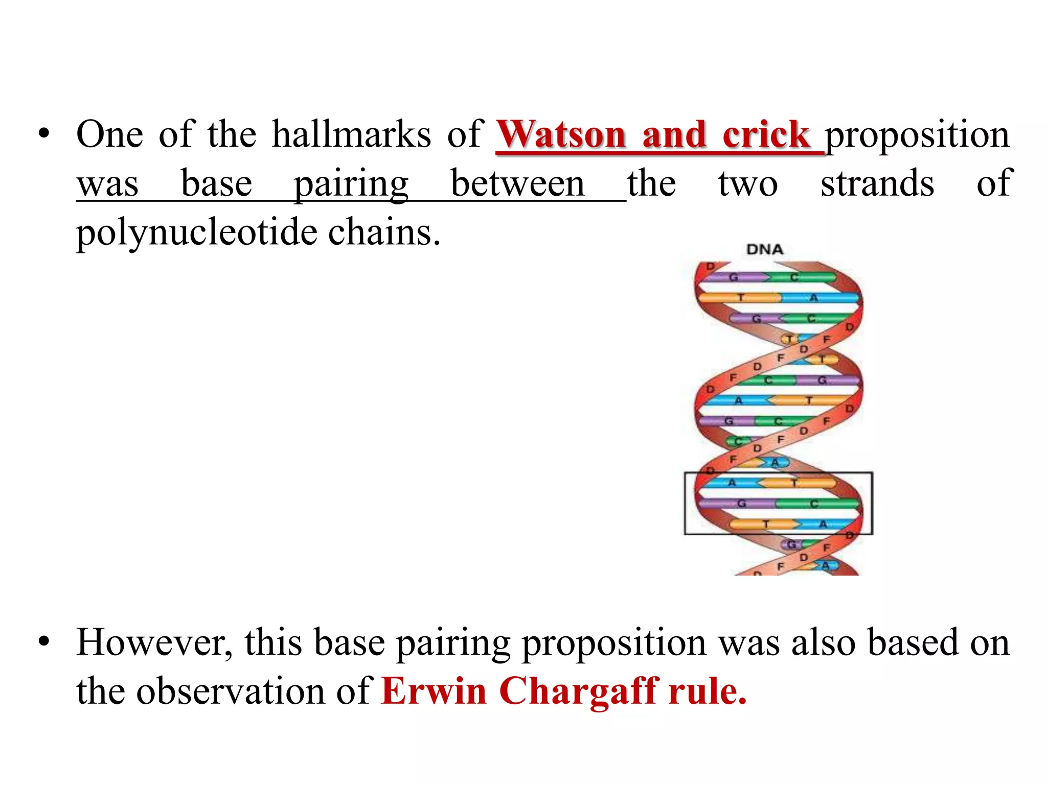 • One of the hallmarks of Watson and crick proposition
was base pairing between the two strands of
polynucleotide chains.
• However, this base pairing proposition was also based on
the observation of Erwin Chargaff rule.
 