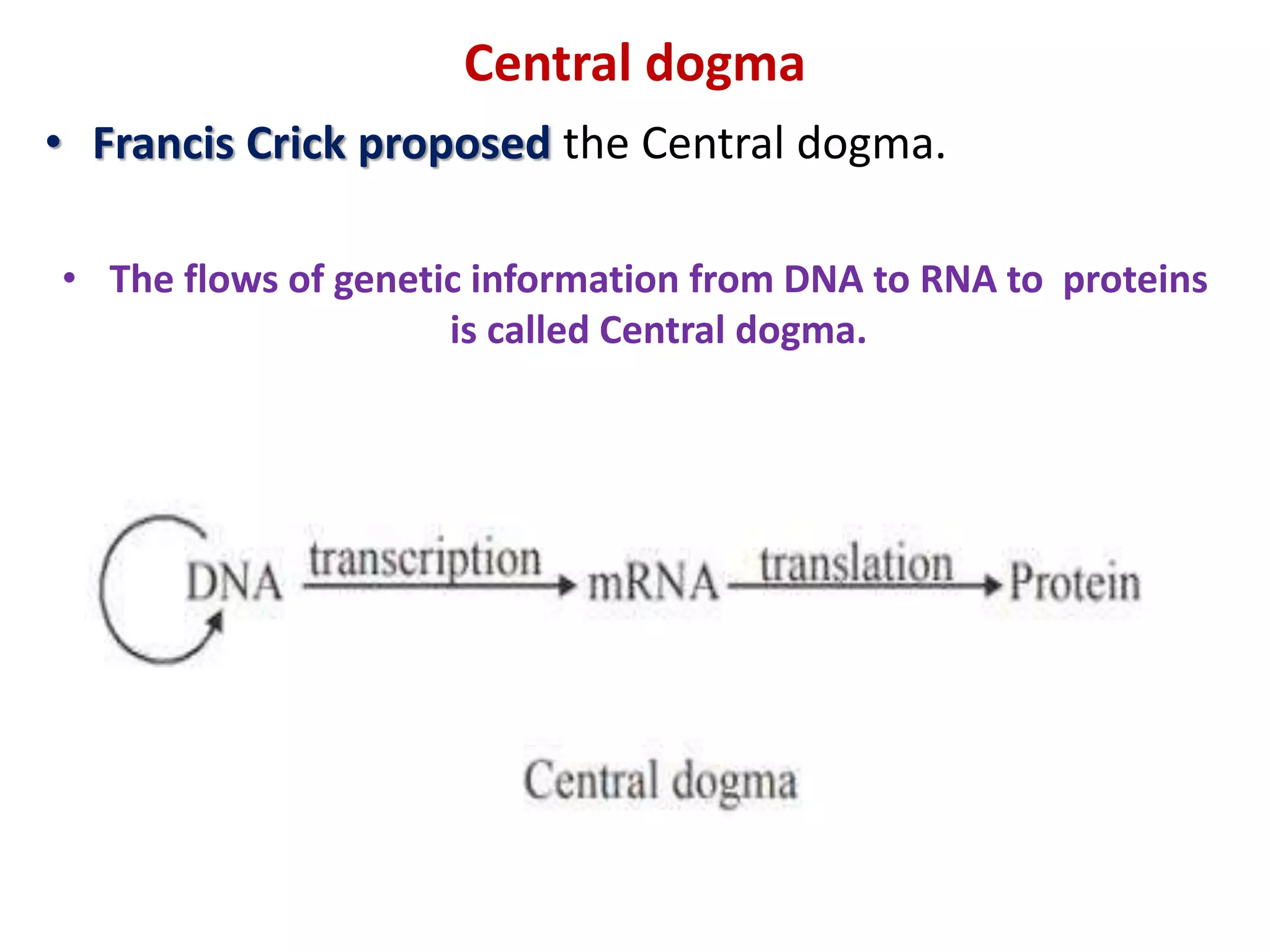Central dogma
• Francis Crick proposed the Central dogma.
• The flows of genetic information from DNA to RNA to proteins
is called Central dogma.
 