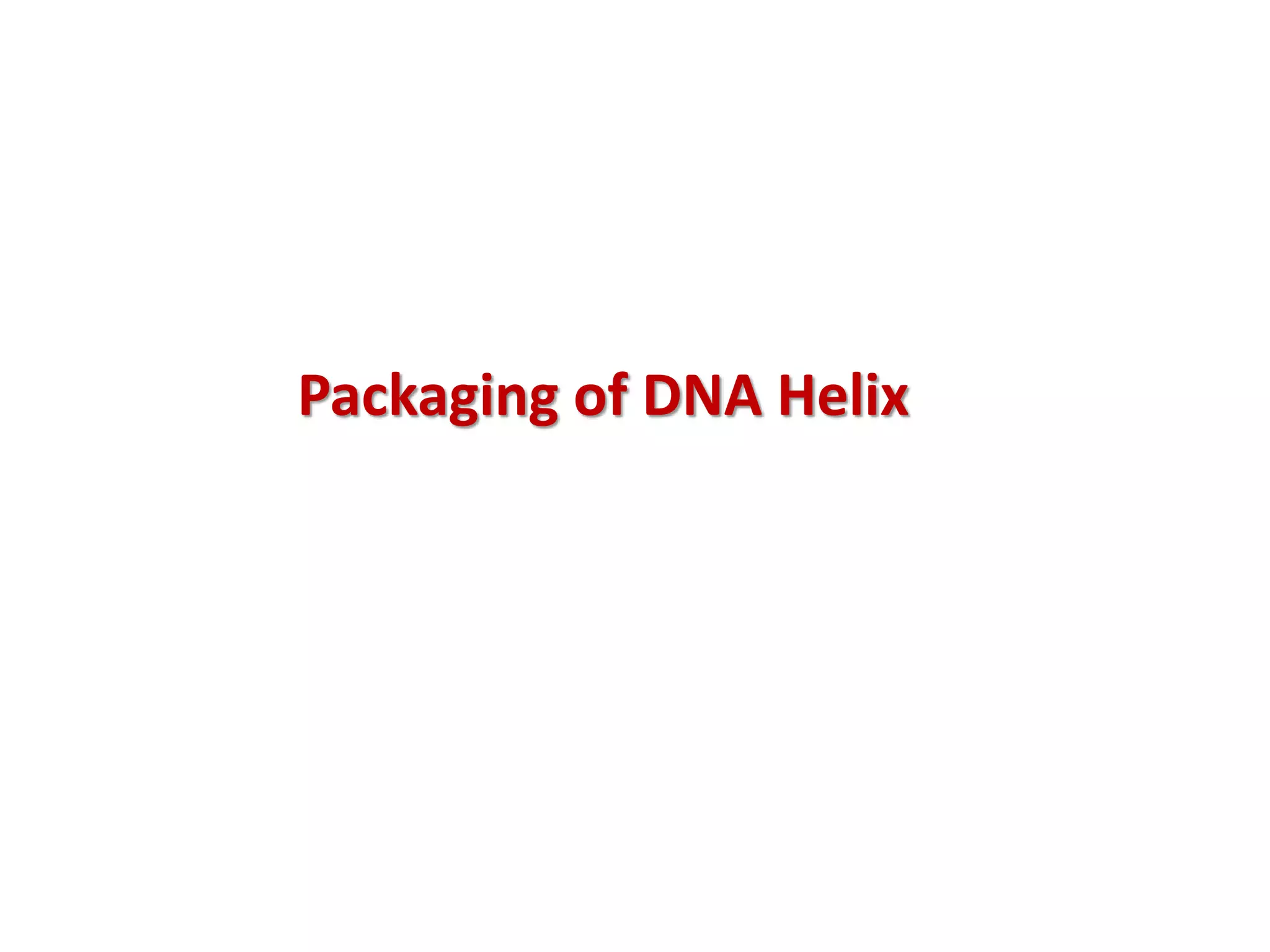 Packaging of DNA Helix
 
