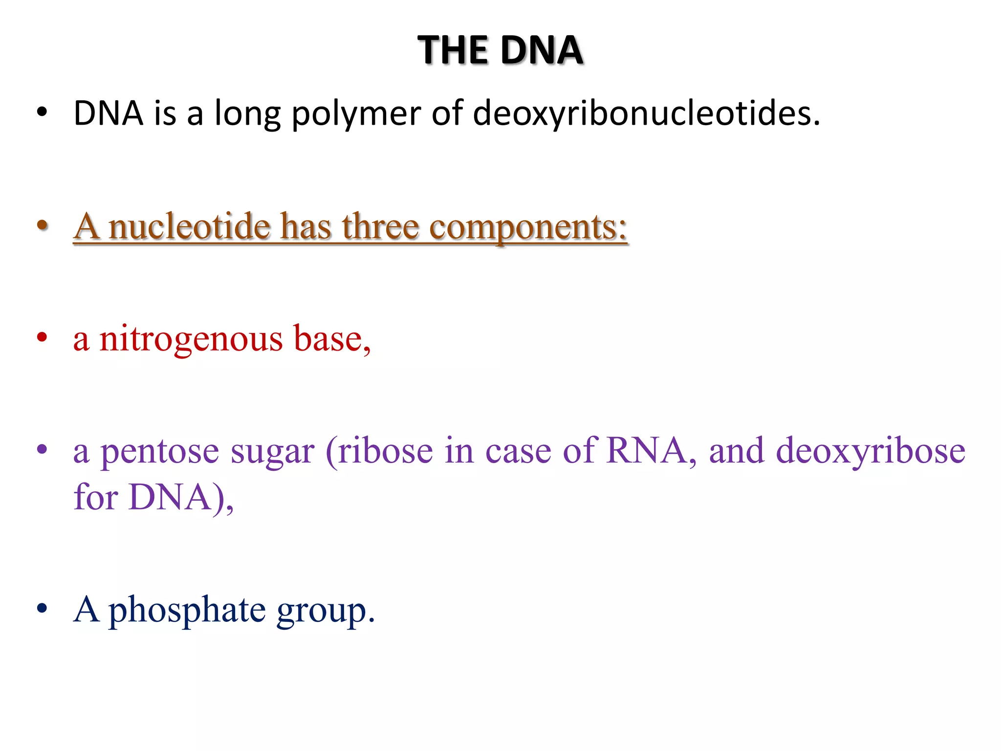 THE DNA
• DNA is a long polymer of deoxyribonucleotides.
• A nucleotide has three components:
• a nitrogenous base,
• a pentose sugar (ribose in case of RNA, and deoxyribose
for DNA),
• A phosphate group.
 