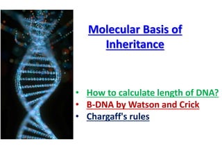 Molecular Basis of
Inheritance
• How to calculate length of DNA?
• B-DNA by Watson and Crick
• Chargaff's rules
 