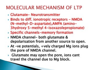  Glutamate- Neurotransmitter
 Binds to diff. ionotropic receptors – NMDA
(N-methyl-D-aspartate),AMPA (amino-
3hydroxy 5-methyl 4-isoxazolepropionate)
 Specific channels-memory formation
 NMDA channel- both glutamate &
depolarisation from another source to open.
 At –ve potentials, +vely charged Mg ions plug
the pore of NMDA channel.
 Glutamate may open the pore, ions cant
travel the channel due to Mg block.
 