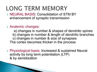  NEURAL BASIS: Consolidation of STM BY
enhancement of synaptic transmission
 Anatomic changes:
a) changes in number & shapes of dendritic spines
b) changes in number & length of dendritic branches
c) changes in number & size of synapses
The cortex becomes thicker in the process
 Physiological basis; Increased & sustained Neural
activity by long term potentiation (LTP)
& by sensitization
 