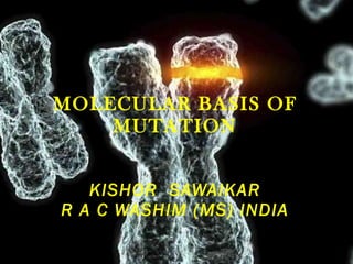 MOLECULAR BASIS OF MUTATION KISHOR  SAWAIKAR R A C WASHIM (MS) INDIA 