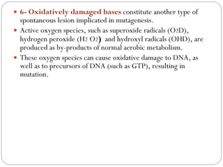 H2o2 Mutation Molecular basis of mutation by kss | PPT
