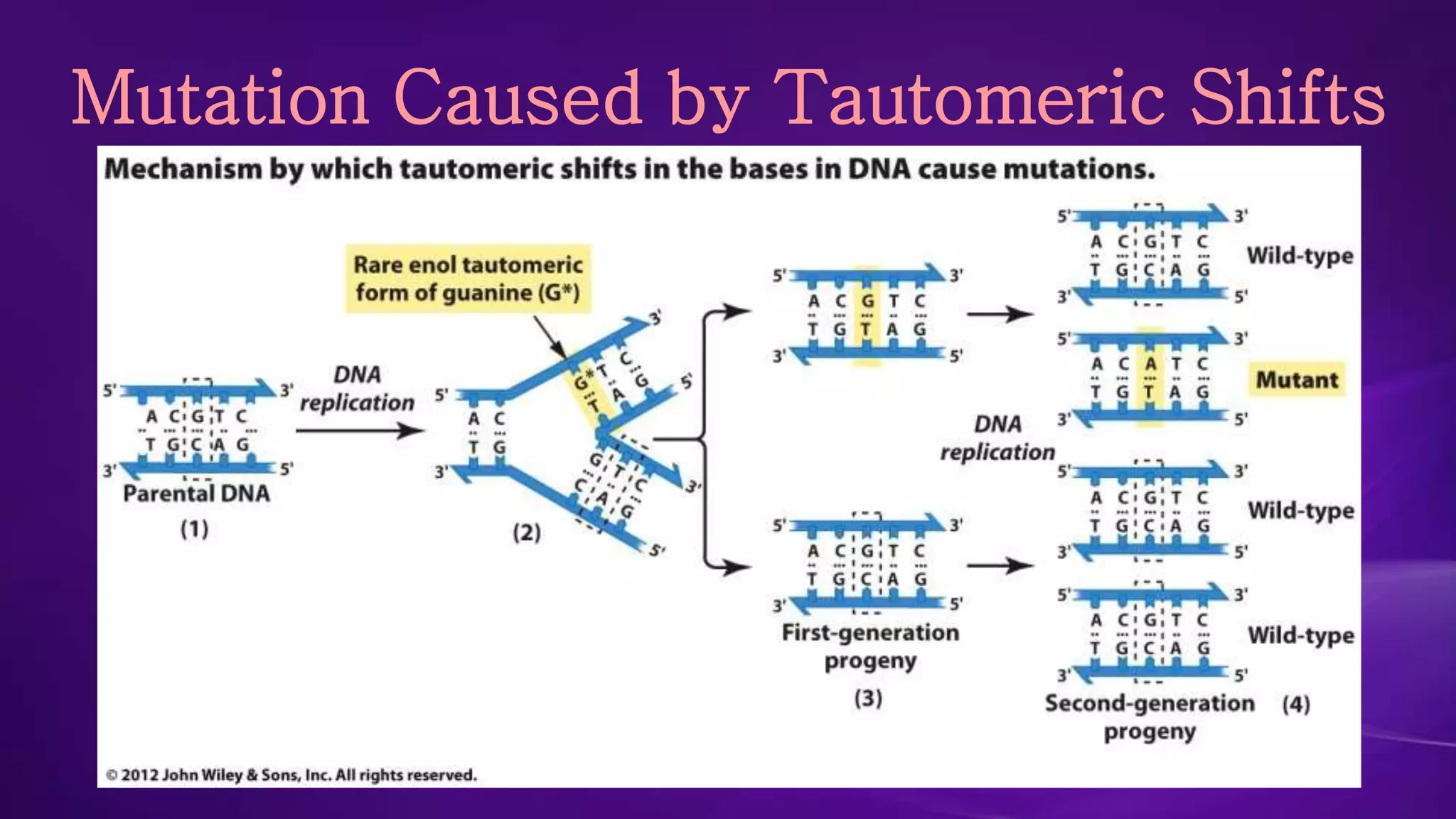Mutation Caused by Tautomeric Shifts 
 