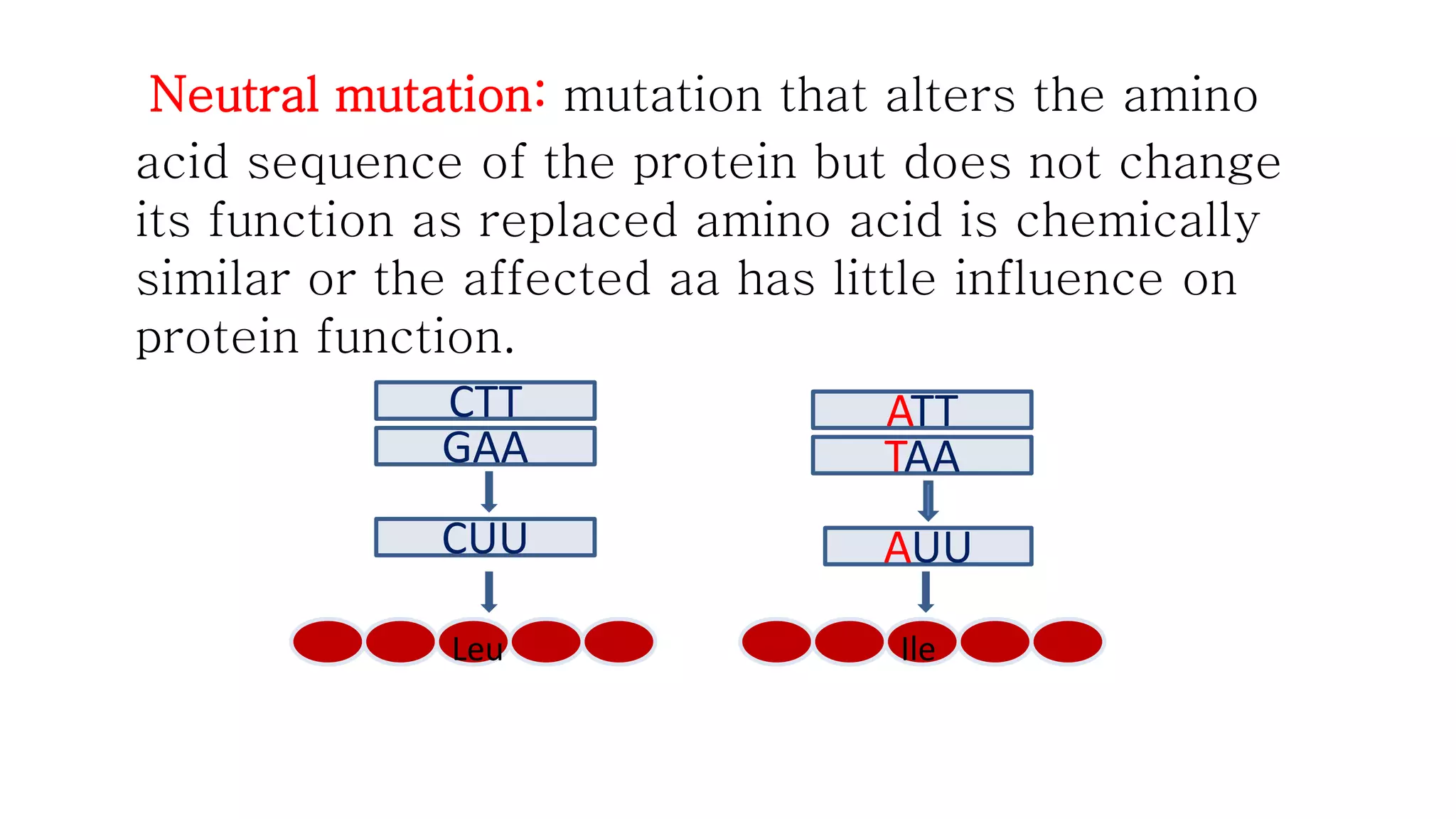 Neutral mutation: mutation that alters the amino 
acid sequence of the protein but does not change 
its function as replaced amino acid is chemically 
similar or the affected aa has little influence on 
protein function. 
CTT 
GAA 
CUU 
ATT 
TAA 
AUU 
Leu Ile 
 