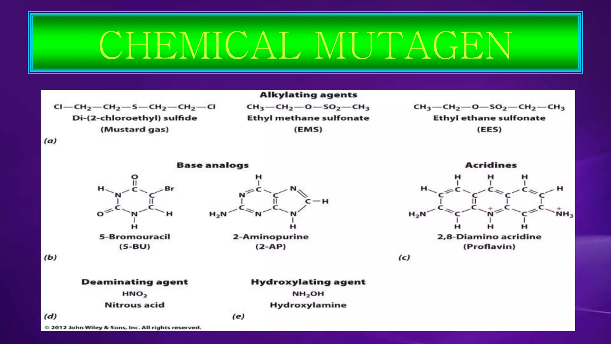 CHEMICAL MUTAGEN 
 