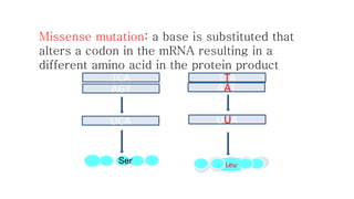 Molecular basis of mutations | PPTX