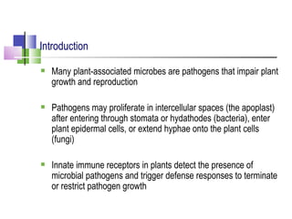 Molecular basis of plant resistance and defense responses to pathogens ...