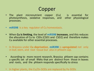 Molecular basis of plant resistance to abiotic stresses like high ...