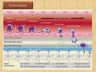 Molecular basis of targated drug delivery system | PPTX