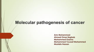 Molecular pathogenesis of cancer 
Amr Mohammed 
Ahmed Omar Ragheb 
Mohammed Osama 
Mohammed Youssef Mohammed 
Mostafa Hassan 
 
