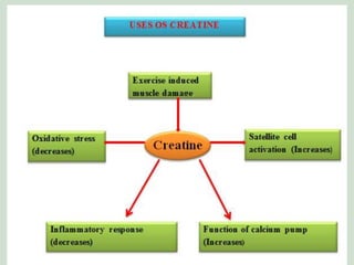 Creatine(CrT) serves as a “Molecular battery” to power killer T cells ...
