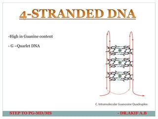 STEP TO PG-MD/MS - DR.AKIF A.B
-High in Guanine content
- G –Quarlet DNA
 