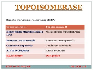 STEP TO PG-MD/MS - DR.AKIF A.B
- Regulates overwinding or underwining of DNA.
Topoisomerase I Topoisomerase II
Makes Single Stranded Nick In
DNA
Makes double stranded Nick
Removes –ve supercoils Removes –ve supercoils
Cant insert supercoils Can insert supercoils
ATP is not requires ATP is required
E.g.: Helicase DNA gyrase
 