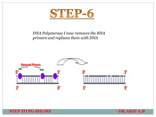 STEP TO PG-MD/MS - DR.AKIF A.B
DNA Polymerase I now removes the RNA
primers and replaces them with DNA
 