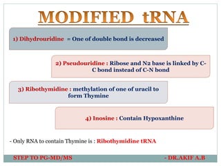 1) Dihydrouridine = One of double bond is decreased
2) Pseudouridine : Ribose and N2 base is linked by C-
C bond instead of C-N bond
3) Ribothymidine : methylation of one of uracil to
form Thymine
- Only RNA to contain Thymine is : Ribothymidine tRNA
4) Inosine : Contain Hypoxanthine
STEP TO PG-MD/MS - DR.AKIF A.B
 