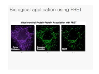 Molecular bioimaging