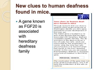 New clues to human deafness
found in mice.
 A gene known
as FGF20 is
associated
with
hereditary
deafness
family
 