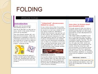 FOLDING
 