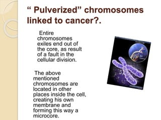 “ Pulverized” chromosomes
linked to cancer?.
Entire
chromosomes
exiles end out of
the core, as result
of a fault in the
cellular division.
The above
mentioned
chromosomes are
located in other
places inside the cell,
creating his own
membrane and
forming this way a
microcore.
 