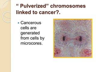 “ Pulverized” chromosomes
linked to cancer?.
 Cancerous
cells are
generated
from cells by
microcores.
 