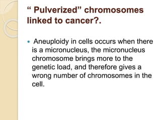 “ Pulverized” chromosomes
linked to cancer?.
 Aneuploidy in cells occurs when there
is a micronucleus, the micronucleus
chromosome brings more to the
genetic load, and therefore gives a
wrong number of chromosomes in the
cell.
 
