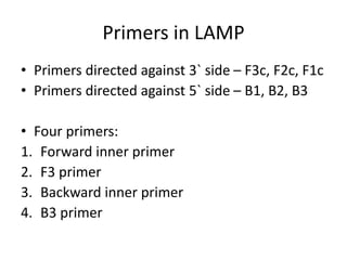 Primers in LAMP
• Primers directed against 3` side – F3c, F2c, F1c
• Primers directed against 5` side – B1, B2, B3
• Four primers:
1. Forward inner primer
2. F3 primer
3. Backward inner primer
4. B3 primer
 