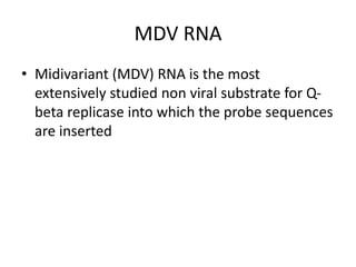 MDV RNA
• Midivariant (MDV) RNA is the most
extensively studied non viral substrate for Q-
beta replicase into which the probe sequences
are inserted
 