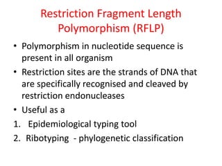 Restriction Fragment Length
Polymorphism (RFLP)
• Polymorphism in nucleotide sequence is
present in all organism
• Restriction sites are the strands of DNA that
are specifically recognised and cleaved by
restriction endonucleases
• Useful as a
1. Epidemiological typing tool
2. Ribotyping - phylogenetic classification
 