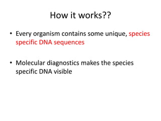 How it works??
• Every organism contains some unique, species
specific DNA sequences
• Molecular diagnostics makes the species
specific DNA visible
 