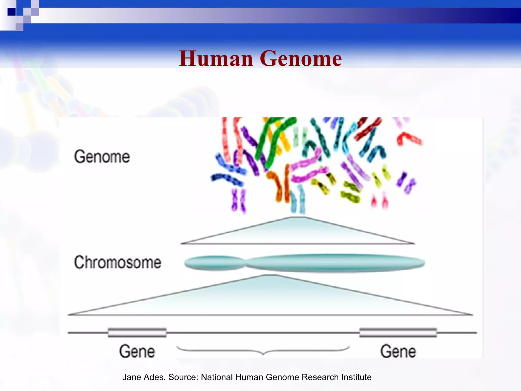 Molecular biology | PPT