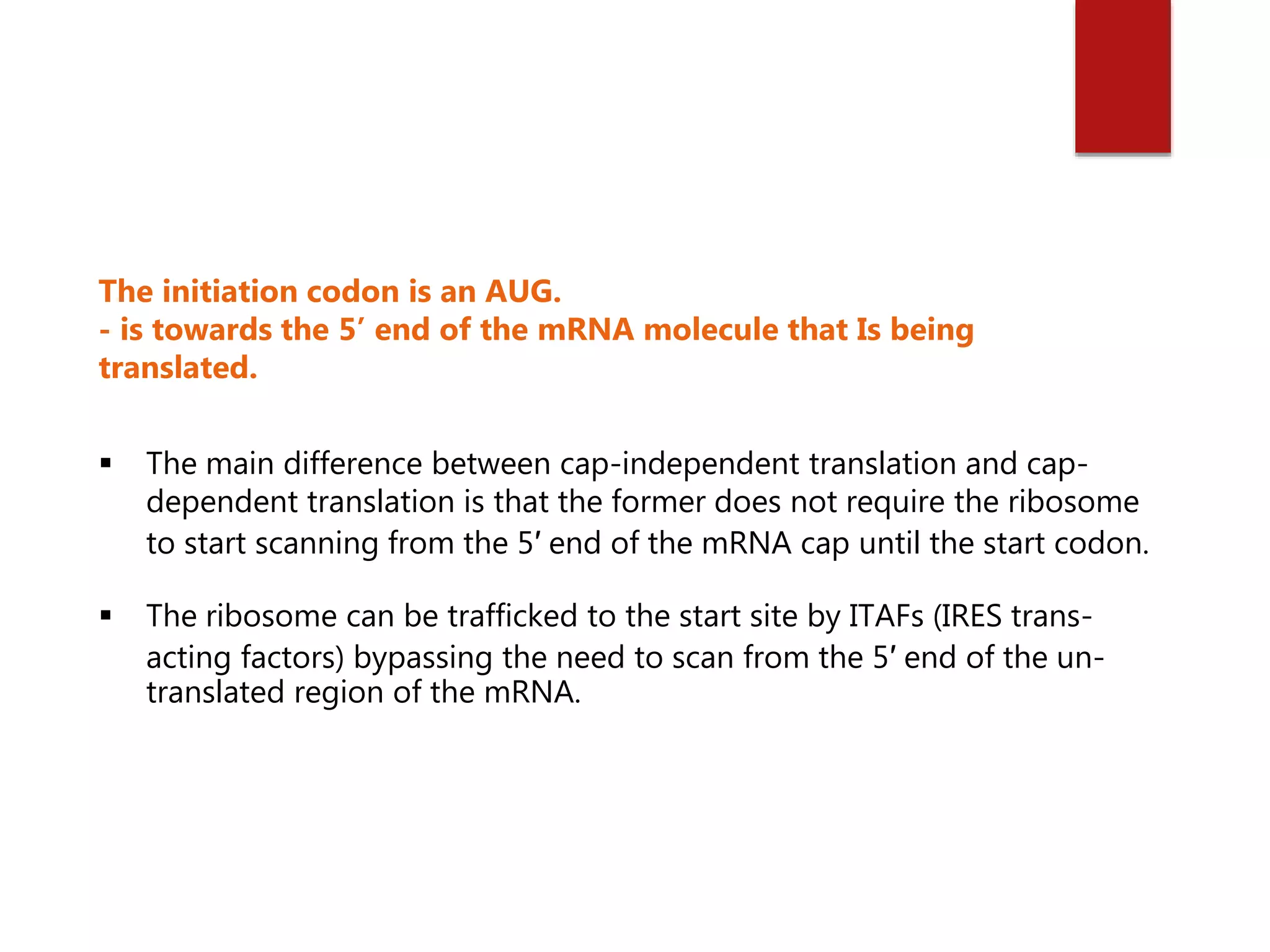  The main difference between cap-independent translation and cap-
dependent translation is that the former does not require the ribosome
to start scanning from the 5′ end of the mRNA cap until the start codon.
 The ribosome can be trafficked to the start site by ITAFs (IRES trans-
acting factors) bypassing the need to scan from the 5′ end of the un-
translated region of the mRNA.
The initiation codon is an AUG.
- is towards the 5’ end of the mRNA molecule that Is being
translated.
 